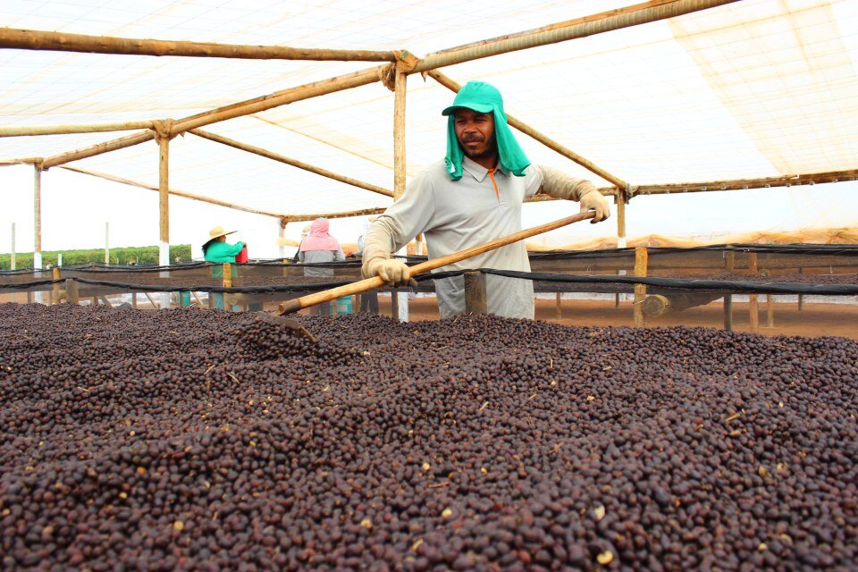 farm-workers-fazenda-paraiso