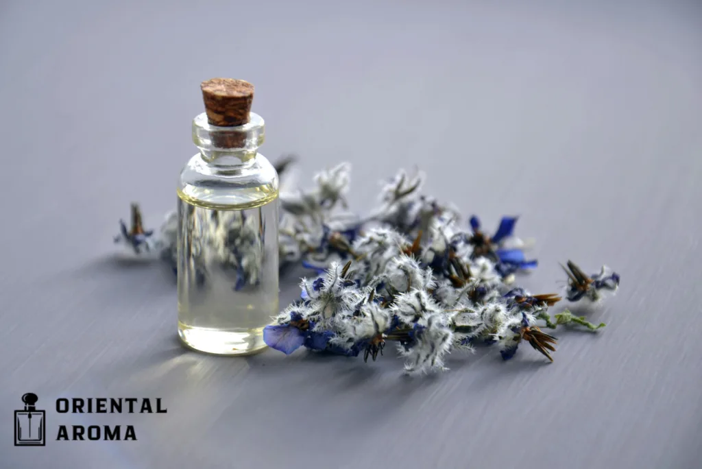 Какво означава нишови парфюми - Оrientalaromabg.com