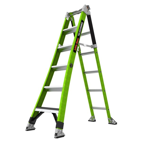 Ladder Compainon Little Giant combination ladders
