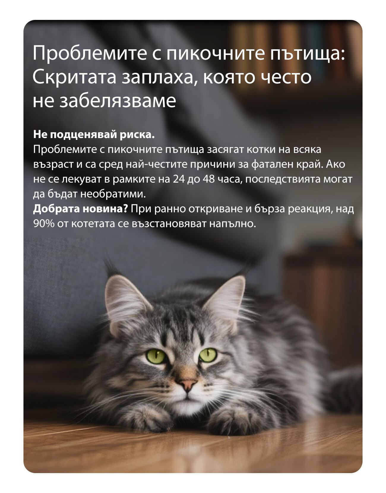 10_petkit-purobot-crystal-duo-mobile.jpg