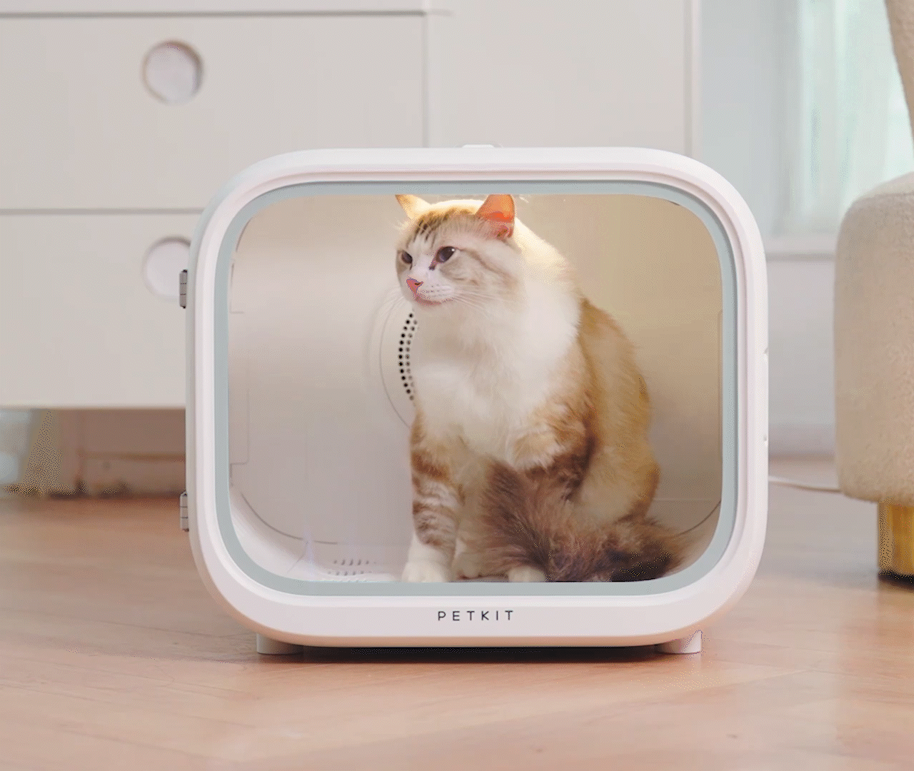11-petkit-bulgaria_airsalon-max.gif
