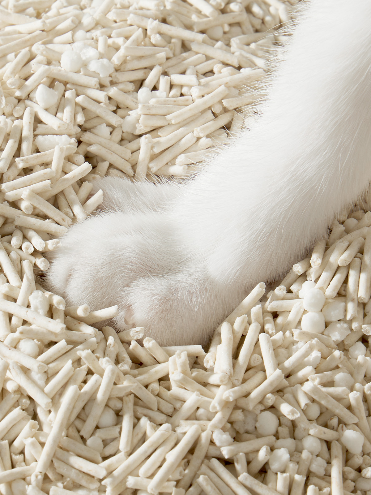 15-petkit-natural-catlitter.jpg