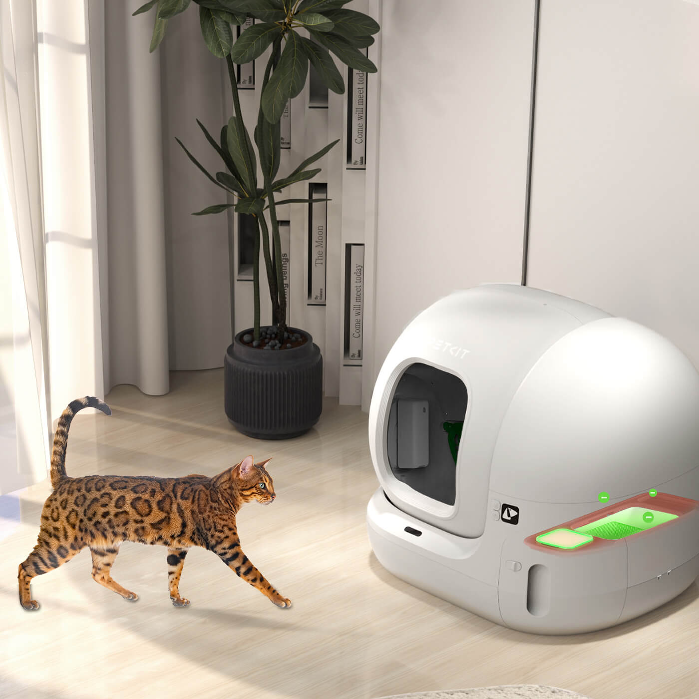 7-petkit_bulgaria_odor_eliminator_n50.jpg