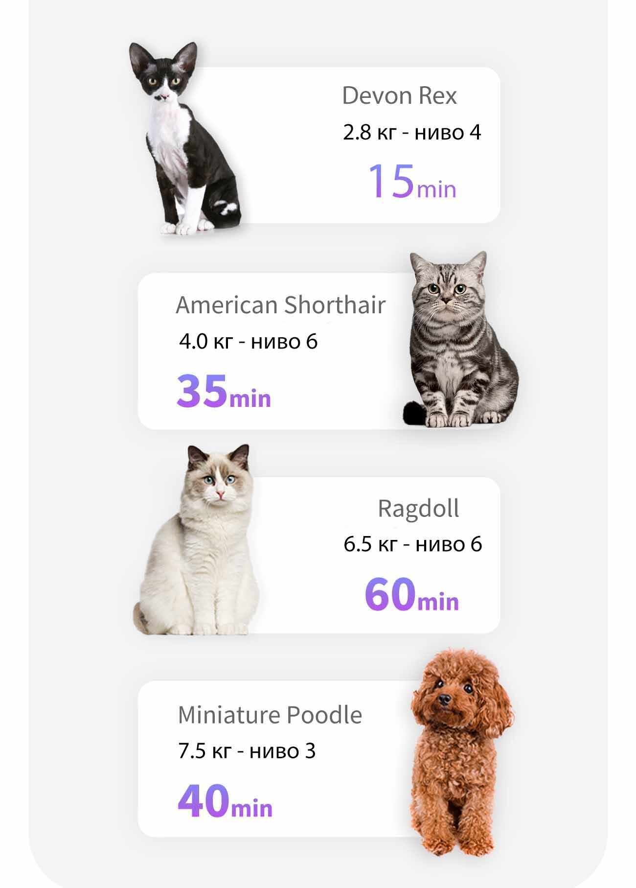 level-app1.jpg