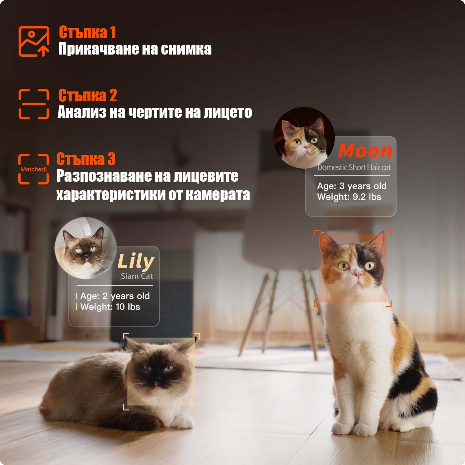 petkit-bulgara-purobot-ultra-17.jpg