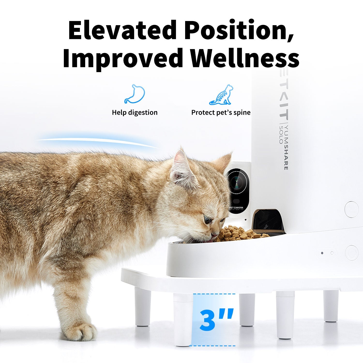 petkit-raised-stand-with-feeder-cat-eating.jpg