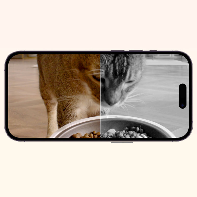 yumshare-solo-with-camera-26.jpg