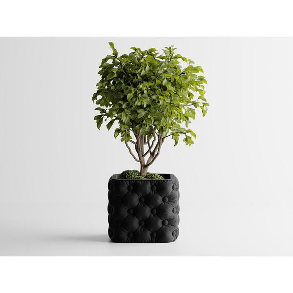 Кашпа Chesterra Малка, 110x110xH95мм- Черна