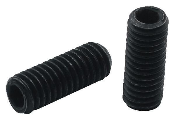 Warwick Saddle Height Adjustment Screw M3x8 DIN916