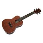 Kala Mahogany Ply Concert Ukulele Incl. Concert Bag UB-C