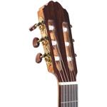 Kremona The Performer Series, F65CW TLR, Cutaway With Fishman Presys Blend