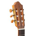 Kremona The Artist Series, Rondo RS, Solid Spruce Top