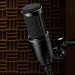 Audio Technica AT2020 Large Diaphragm Condenser Mic