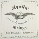 Aquila Thundergut Bass Ukulele Set, EADG