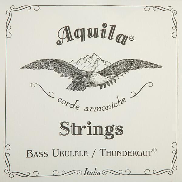 Aquila Thundergut Bass Ukulele Set, EADG