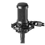 Audio Technica AT2050 Large Diaphragm Multi Pattern Condenser Mic