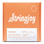 Stringjoy Foxwoods | Light Gauge (12-54) Coated Phosphor Bronze Acoustic Guitar Strings