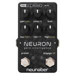 Neunaber Neuron