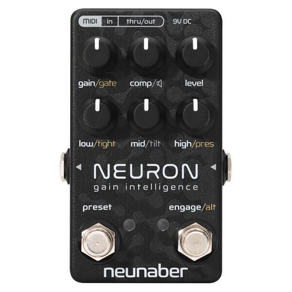 Neunaber Neuron