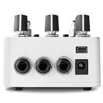 Red Panda Raster V2, Delay