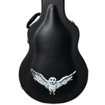 Epiphone Jim James ES-335 (Incl. Hard Case)