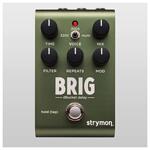 Strymon Brig Delay