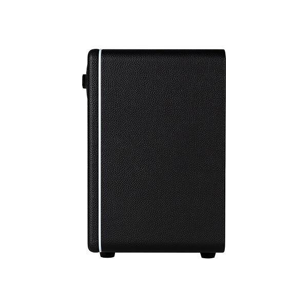 Mooer Hornet 15i Modeling Guitar Amp, 15W, Black