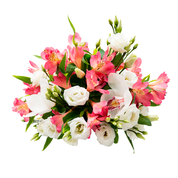 Алстромерия с орхидеи