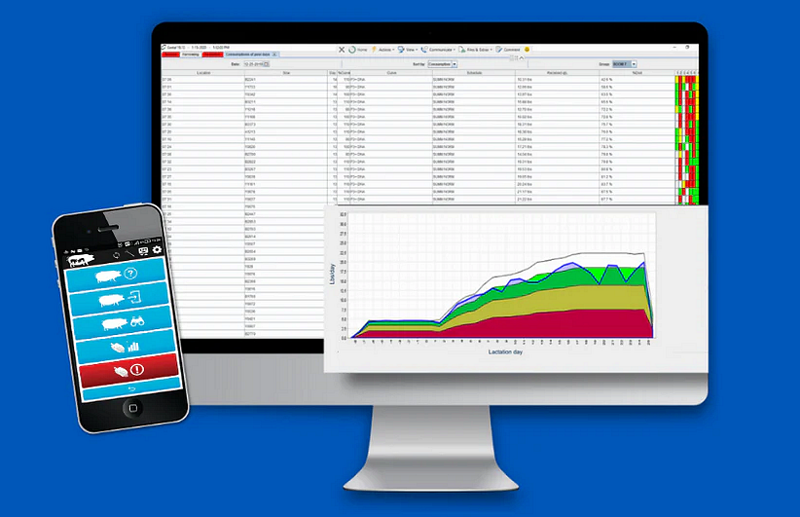 JYGA GESTAL SZOFTVER