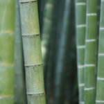 White Boutique Завивка Eco Bamboo