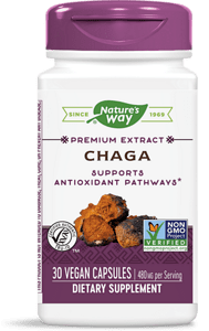 Chaga Premium Extract/ Чага 480 mg