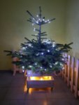 Масивна Дървена Кашпа за Коледна Елха с колелца 47-42-42 см натурална