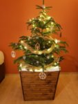 Масивна Дървена Кашпа за Коледна елха, конусовидна, с двойно дъно 51-51-48 см орех