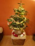 Масивна Дървена Кашпа за Коледна елха, конусовидна, с двойно дъно 51-51-48 см орех