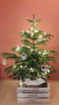 Винтидж Арт Дървена Кашпа за Коледна елха 50-35-25 см