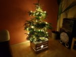 Светеща Дървена Кашпа "ЗВЕЗДА" за Коледна Елха в 3 размера
