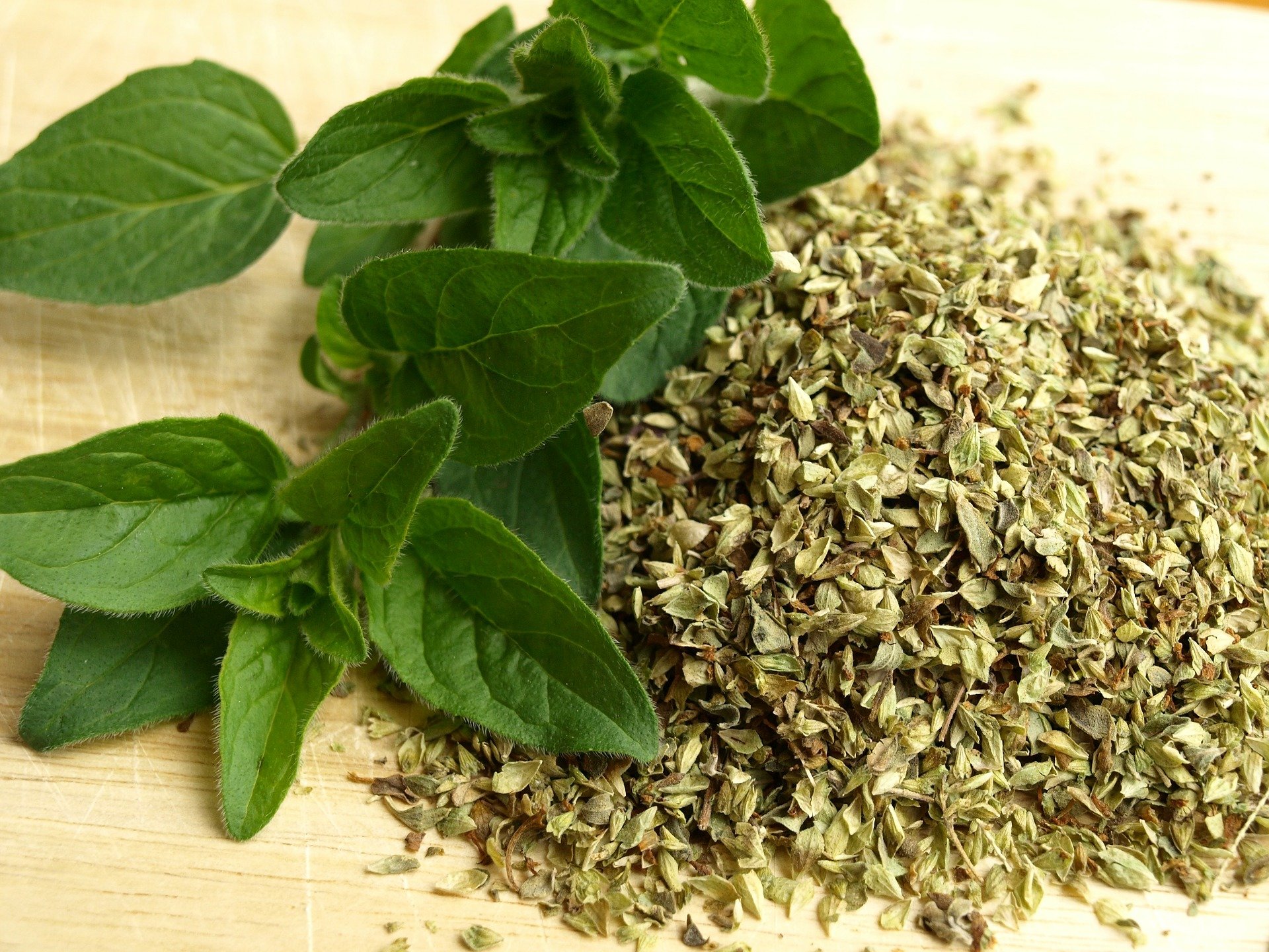 5 растения с противовирусни свойства oregano 321037 1920