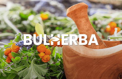 bulherba